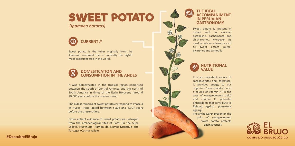 sweet potato peru